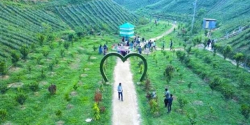 শাফিউল আল ইমরান