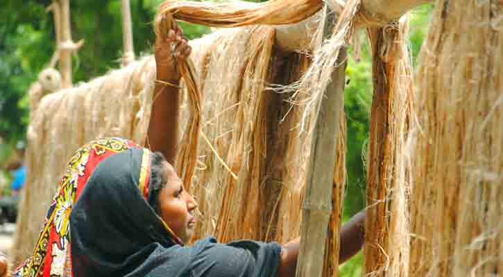 এক-দেড় মাস পাটের আঁশ ছাড়ানোর কাজ হয়