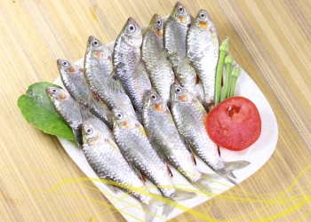 পুকুরে পুঁটি মাছ চাষে আয় করুন দ্বিগুন