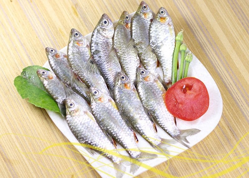 পুকুরে পুঁটি মাছ চাষে আয় করুন দ্বিগুন