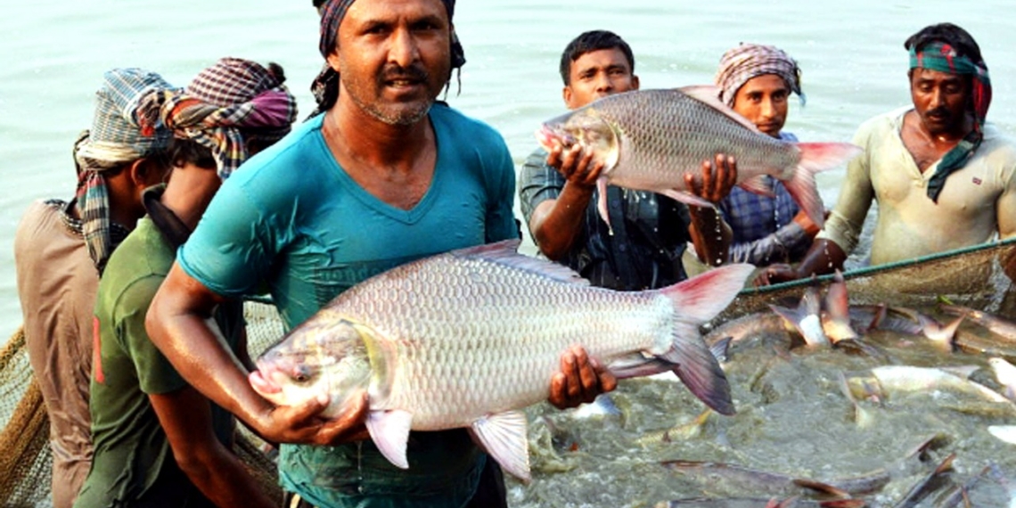 মাছ চাষের আগে যেসব বিষয় জানা জরুরী