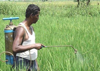 দেশেই উৎপাদন হবে বালাইনাশক