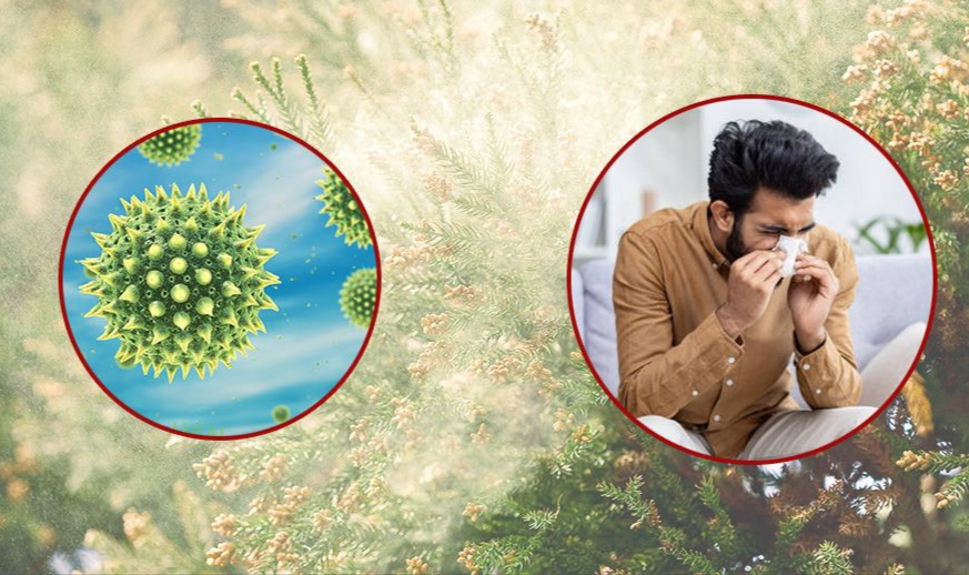 জলবায়ু পরিবর্তনের ছোবলে বাড়ছে অ্যালার্জি ও হাঁপানি