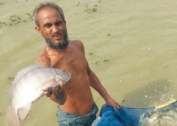 আধুনিক পদ্ধতিতে মাছ চাষ করে স্বাবলম্বী হচ্ছেন মৎস্যচাষিরা