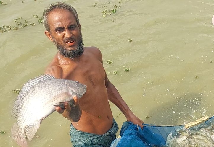 আধুনিক পদ্ধতিতে মাছ চাষ করে স্বাবলম্বী হচ্ছেন মৎস্যচাষিরা