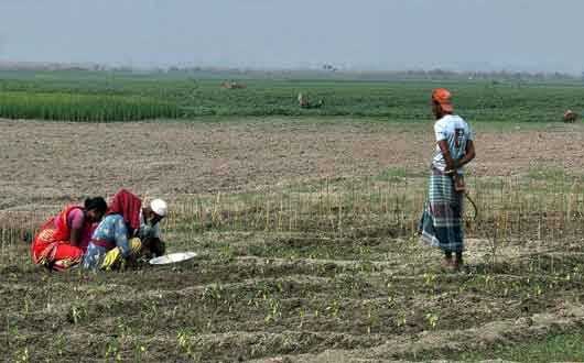 উত্তরাঞ্চলে বৃষ্টির হানা : শীতকালীন ফসলের লক্ষ্যমাত্রা নিয়ে 'শঙ্কা'