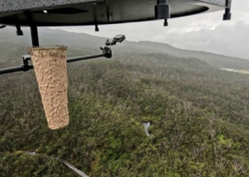 বিলুপ্ত পাখি রক্ষায় মশা