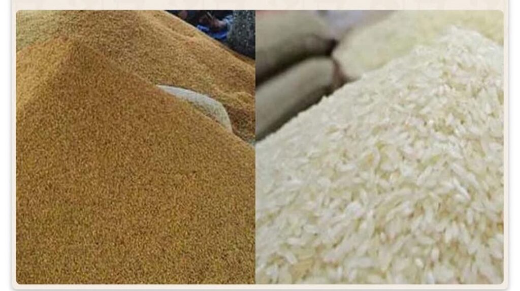 ধান ৩৪, আতপ চাল ৪৯, সিদ্ধ চাল ৫০ টাকা কেজি দরে সংগ্রহ করবে সরকার