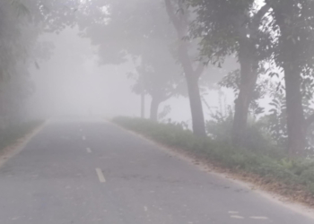 সকালে শহর ও আশপাশে কুয়াশা বাড়ায় রাস্তাঘাট ফাঁকা দেখা যায়।