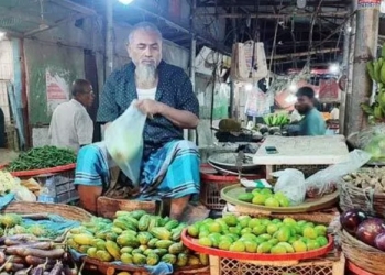 বরিশালে বেড়েছে সবজি-কাঁচামরিচের দাম