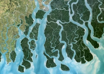 সমুদ্রপৃষ্ঠের উচ্চতা বৃদ্ধির চেয়েও দ্রুত নামছে মাটির স্তর