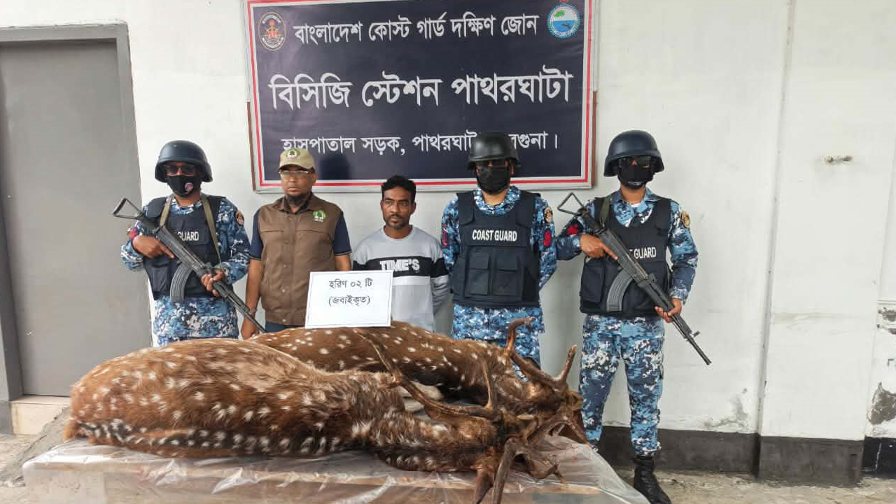 বরগুনায় ফাঁদসহ জবাই করা দুটি হরিণ উদ্ধার