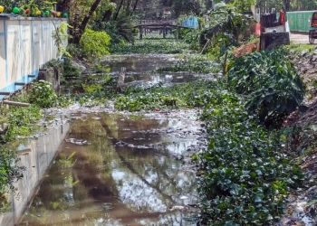 ঝালকাঠি পৌরসভার খাল খননে অনিয়ম, ঠিকাদারকে শোকজ