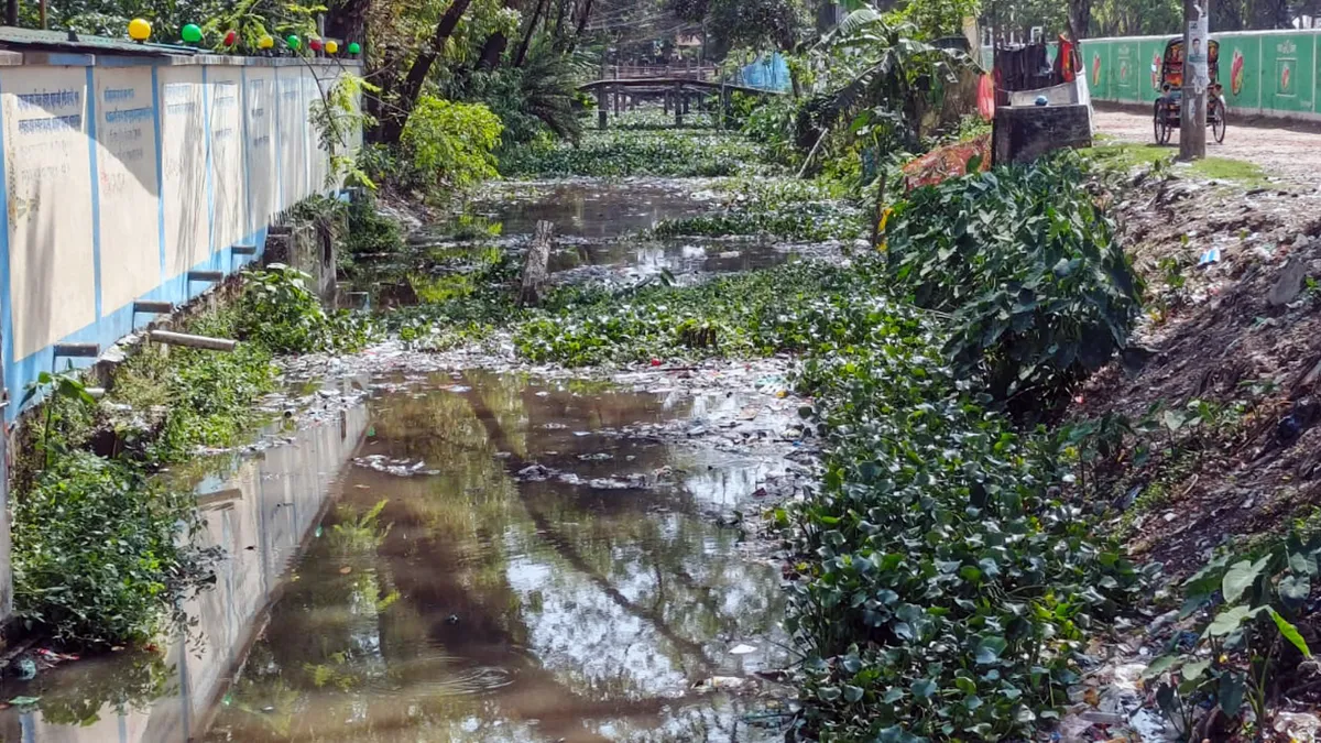 ঝালকাঠি পৌরসভার খাল খননে অনিয়ম, ঠিকাদারকে শোকজ