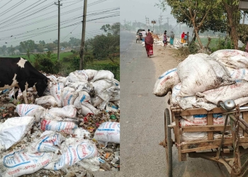 মেয়াদোত্তীর্ণ চিনি ভাগাড়ে ডাম্পিং, নিয়ে যাচ্ছেন স্থানীয়রা