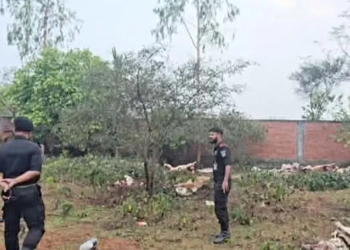 রাতের আঁধারে ৯ ঘোড়া জবাই, অভিযানে ১১টি জীবিত উদ্ধার