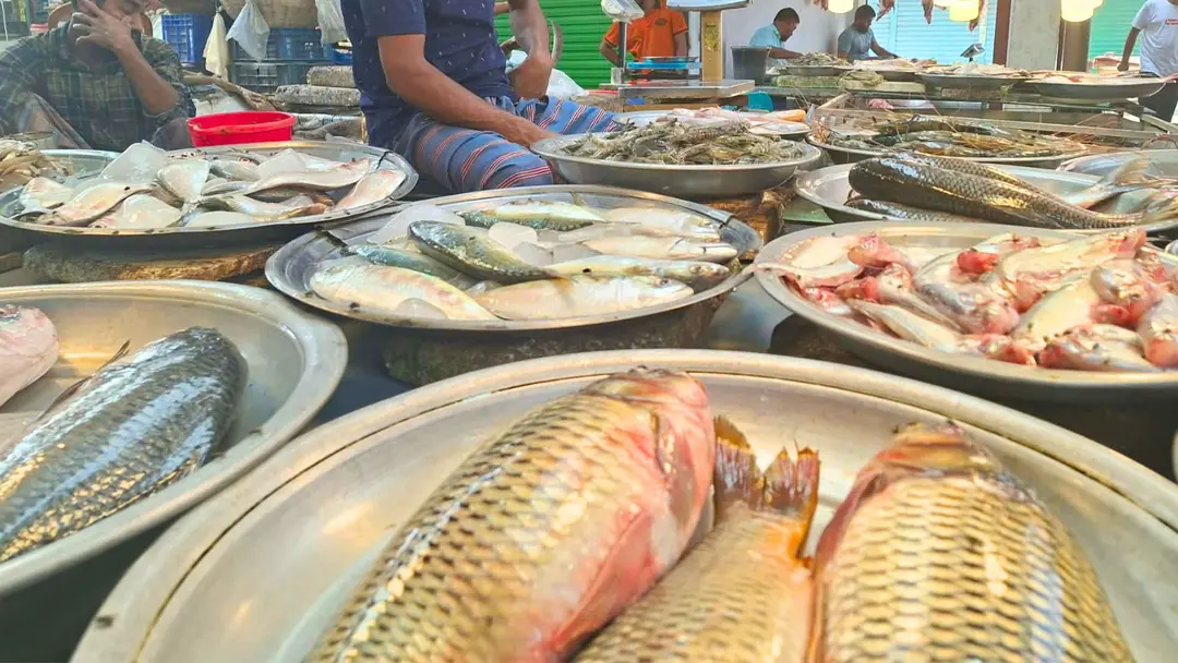 ২০০ টাকার নিচে নেই কোনো মাছ