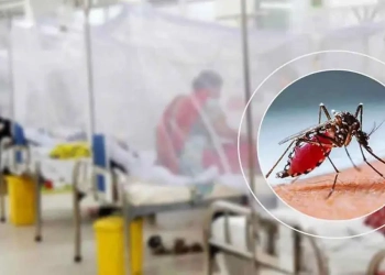 ডেঙ্গুতে আরও ৪ জনের মৃত্যু, আক্রান্ত ১২৫২