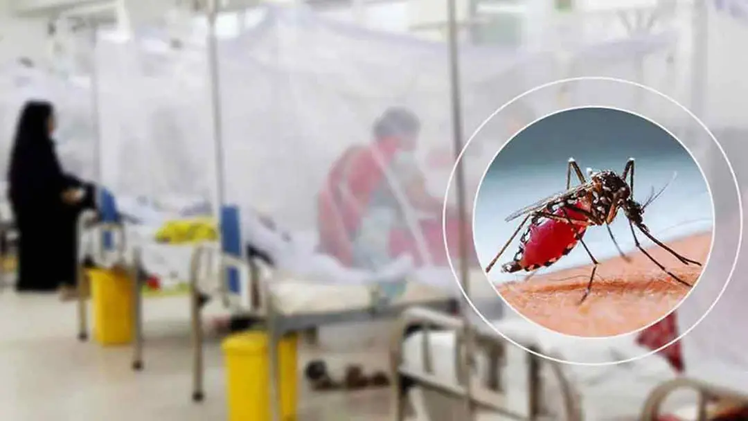 ডেঙ্গুতে আরও ৪ জনের মৃত্যু, আক্রান্ত ১২৫২