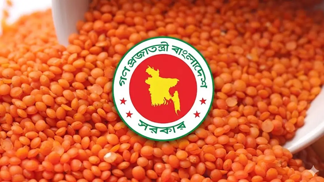 ৭৭ কোটি টাকায় ১০ হাজার টন মসুর ডাল কিনবে সরকার