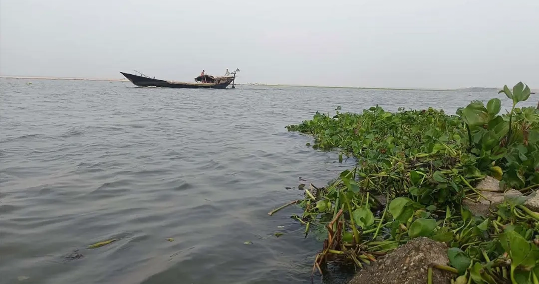 গঙ্গা-পদ্মার পানি কমছে, রাজশাহী-চাঁপাইনবাবগঞ্জে সতর্কসীমার শঙ্কা