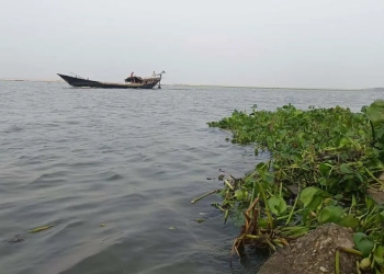 গঙ্গা-পদ্মার পানি কমছে, রাজশাহী-চাঁপাইনবাবগঞ্জে সতর্কসীমার শঙ্কা