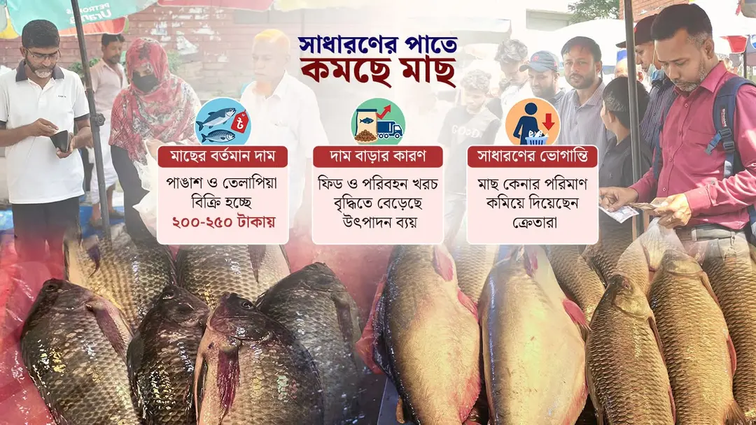 নিম্নবিত্তের নাগালের বাইরে পাঙাশ-তেলাপিয়া, আমিষের জোগান নিয়ে শঙ্কা