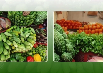 ১০০ টাকার নিচে মিলছে না যেসব সবজি
